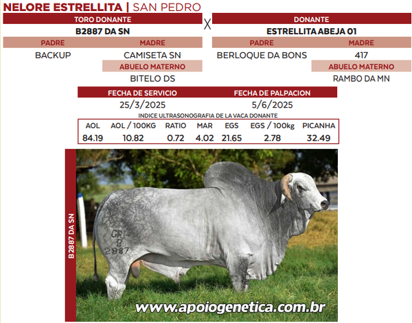 Lote LOTE 40