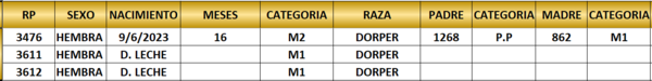 Lote LOTE 52