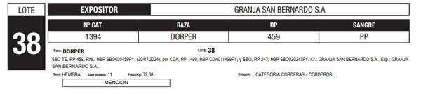 Lote LOTE 38
