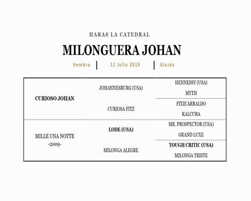 Lote MILONGUERA JOHAN (CURIOSO JOHAN - MILLE UNA NOTE)