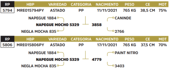 Lote LOTE 41