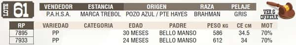 Lote LOTE 61 - EN VIVO