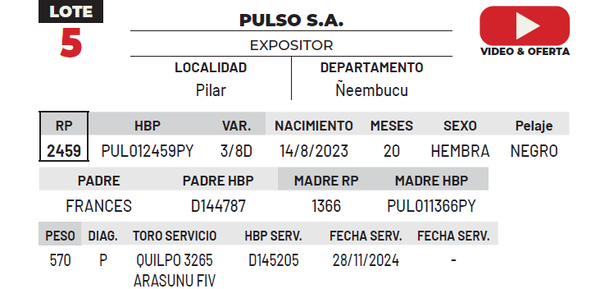 Lote LOTE 5