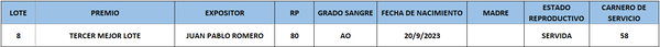 Lote LOTE 8