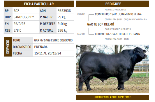 Lote LOTE 28