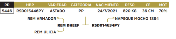 Lote LOTE 27