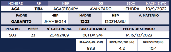 Lote LOTE 42