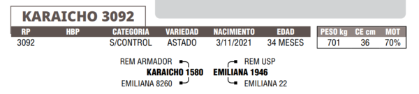 Lote LOTE 3