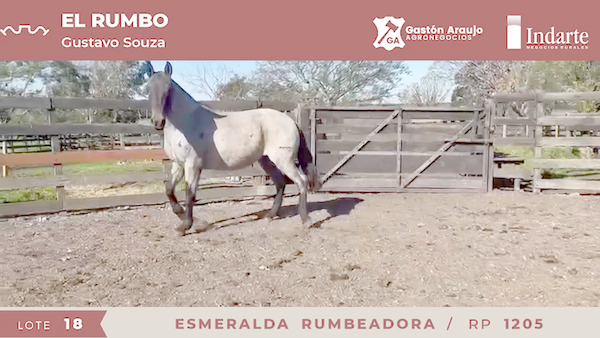 Lote ESMERALDA RUMBEADORA