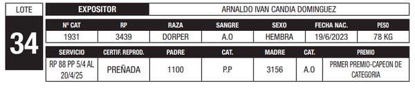 Lote LOTE 34