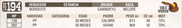 Lote LOTE 194 - EN VIVO