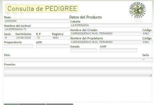 Lote TORO PI - RP 72