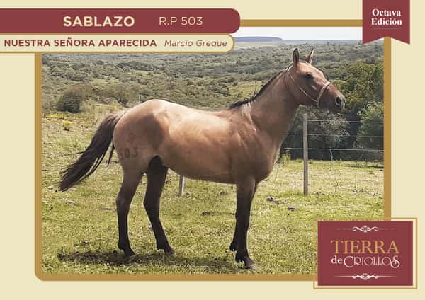 Lote Tierra de Criollos - Nuestra Señora Aparecida -  Sablazo RP 503