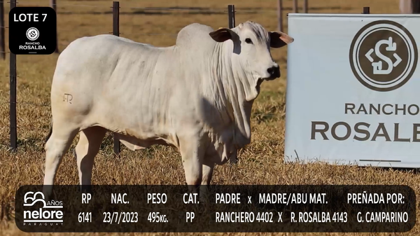 Lote LOTE 7