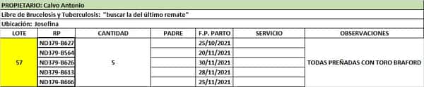 Lote Lote 57 Calvo Antonio