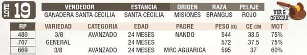 Lote LOTE 19 - EN VIVO