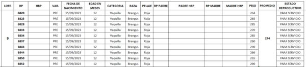 Lote LOTE 9