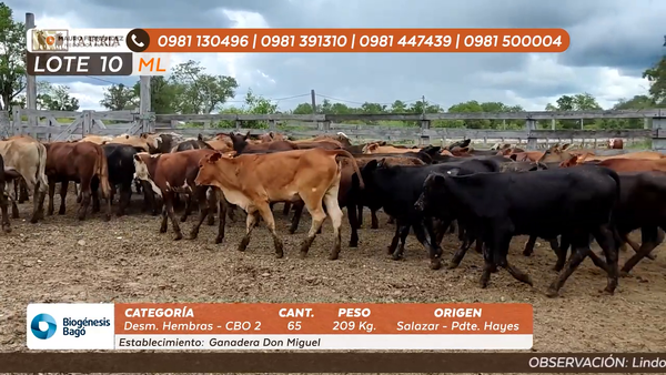 Lote ESTANCIA DON MIGUEL