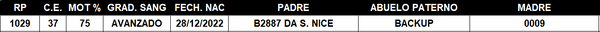 Lote LOTE 47