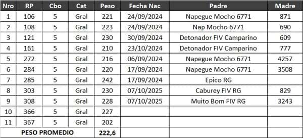 Lote LOTE 8- POR PANTALLA