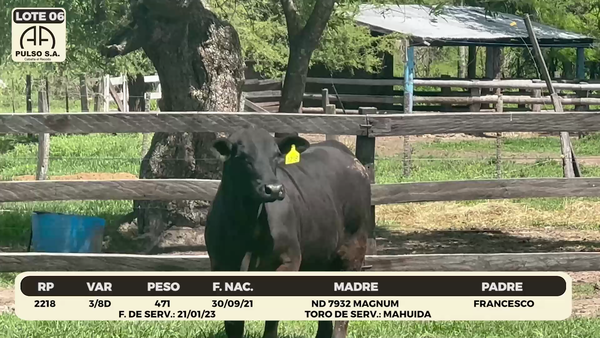 Lote LOTE 6
