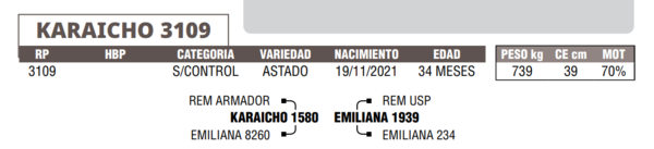 Lote LOTE 21