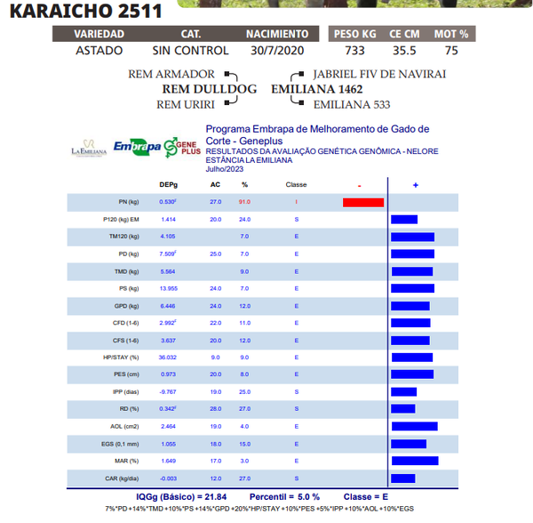 Lote LOTE 77