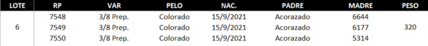Lote LOTE 6