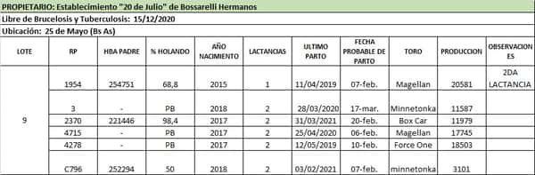 Lote Lote 9