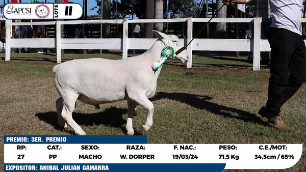 Lote LOTE 11
