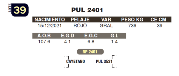 Lote LOTE 39