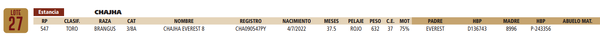Lote LOTE 27
