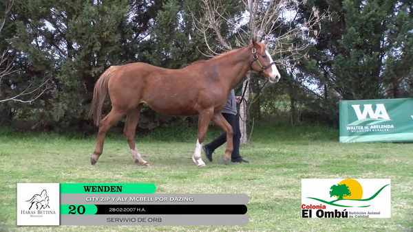Lote WENDEN