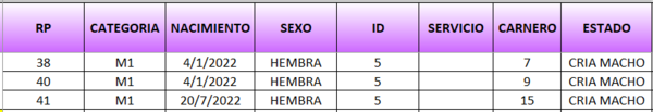 Lote LOTE 11