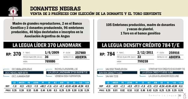 Lote DONANTES