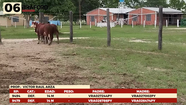 Lote LOTE 6