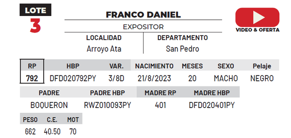 Lote LOTE 3