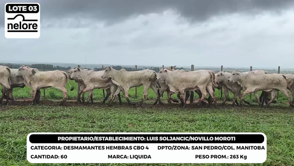 Lote LOTE 3