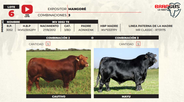 Lote LOTE 6