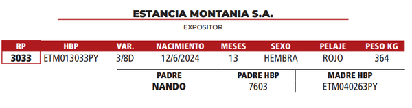 Lote LOTE 33