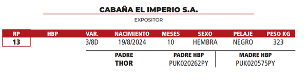 Lote LOTE 4