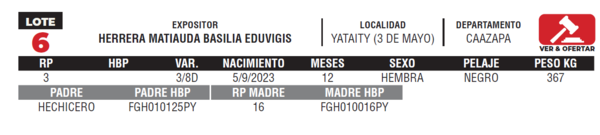 Lote LOTE 6- JUNIOR