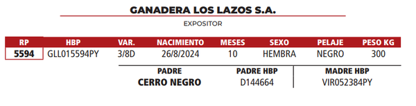 Lote LOTE 9