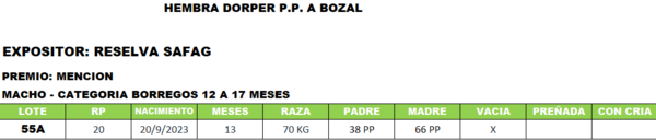 Lote LOTE 55A