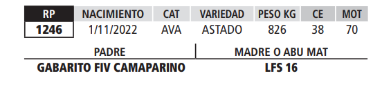 Lote LOTE 31