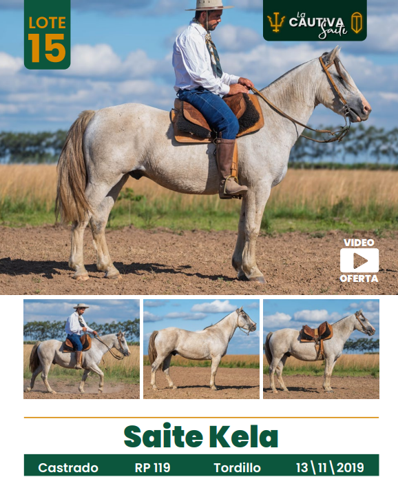 Lote LOTE 15