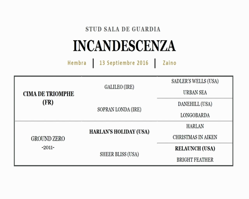 Lote INCANDESCENZA (CIMA DE TRIOMPHE - GROUND ZERO)