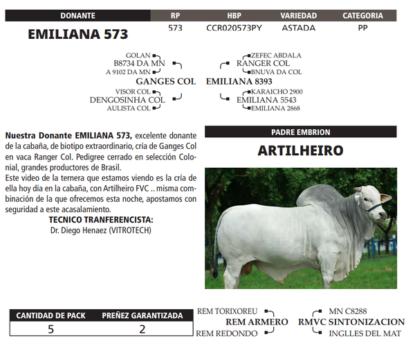 Lote LOTE 47