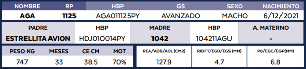 Lote LOTE 29