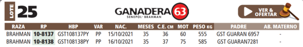 Lote LOTE 25